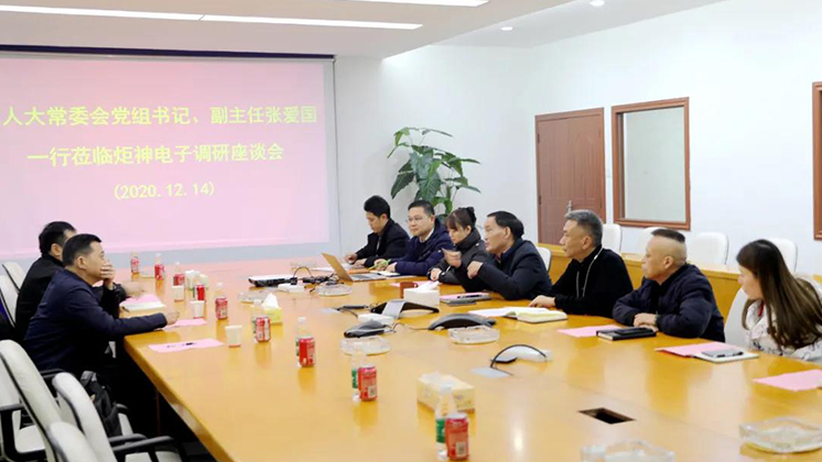 郴州市人大常委會黨組書記、副主任張愛國到炬神電子調(diào)研安全生產(chǎn)工作